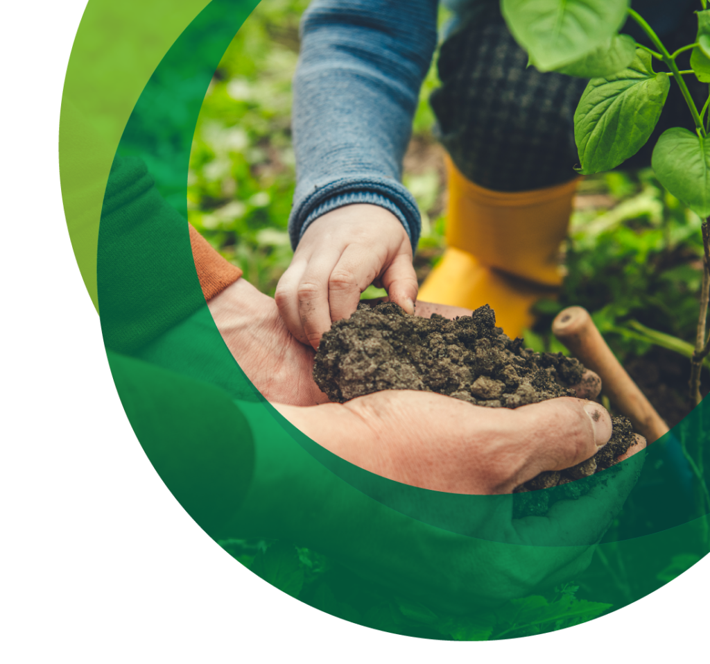 child and parent hands gardening about sustainability